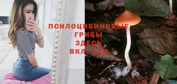 скорость Баксан
