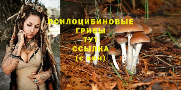 скорость Баксан
