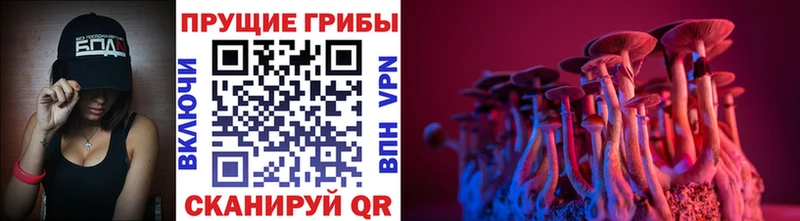 Галлюциногенные грибы Cubensis Высоковск